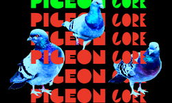 Pigeon Core